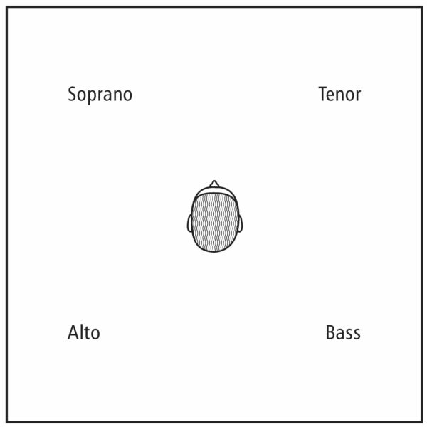 142 Surround Diagramm
