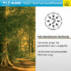 B142 Frontcover