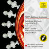 L240 Frontcover