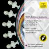 L242 Frontcover