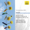196 Frontcover