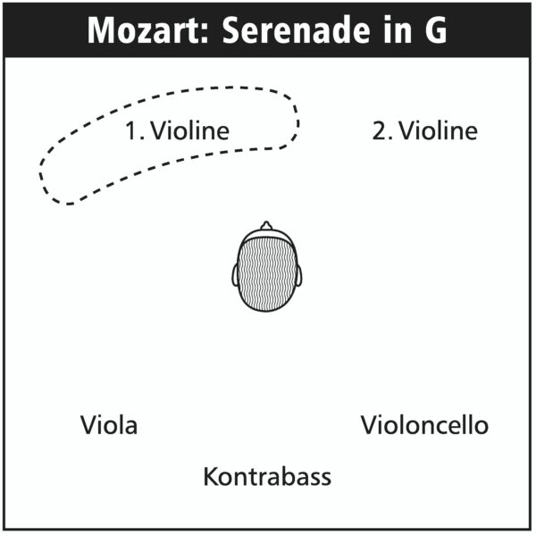 136 Instruments Positions