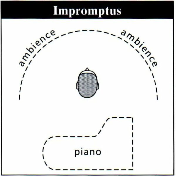 D106 Surround Arrangement